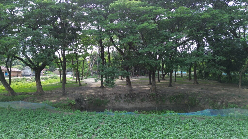 পরিবেশ রক্ষার উপায় আমাদের করণীয় কী