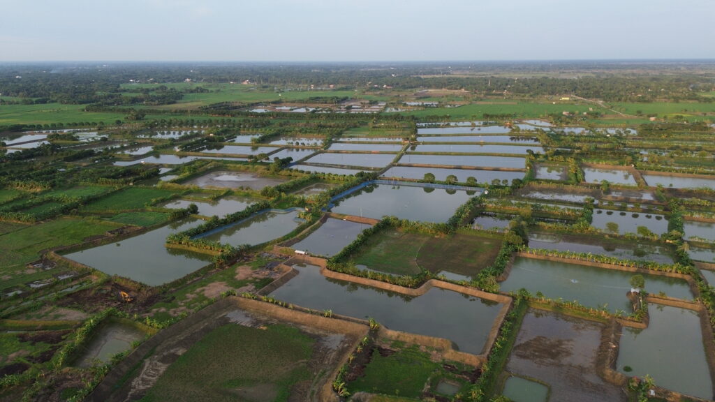  পরিবেশ রক্ষার উপায় আমাদের করণীয় কী