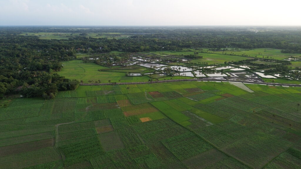 পরিবেশ রক্ষার উপায় আমাদের করণীয় কী