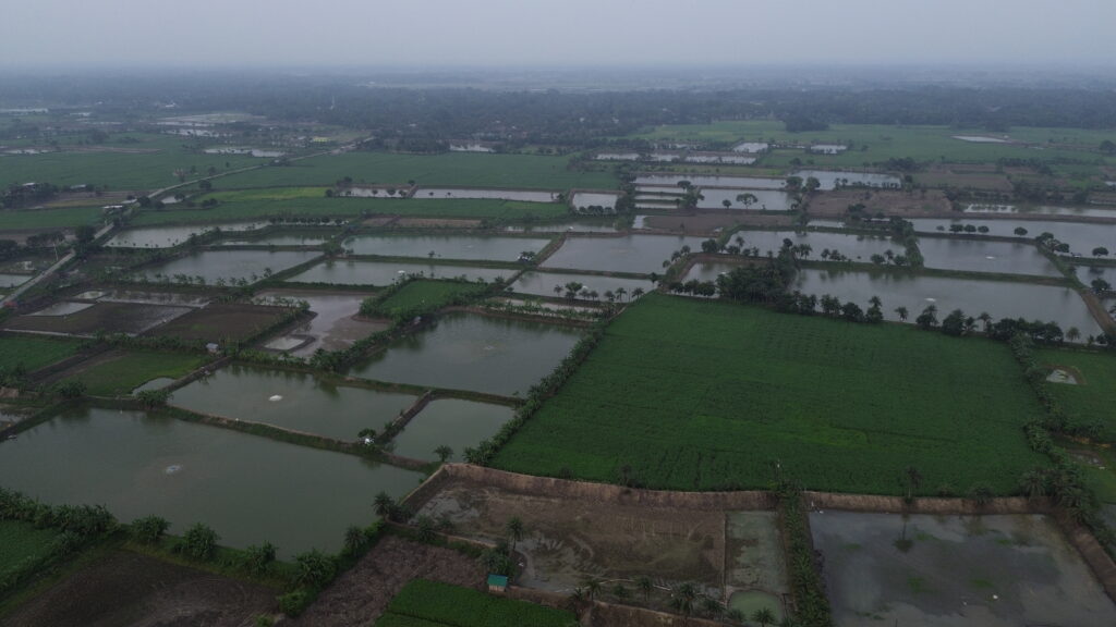  পরিবেশ রক্ষার উপায় আমাদের করণীয় কী