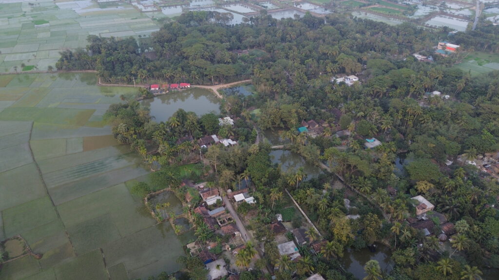পরিবেশ রক্ষার উপায় আমাদের করণীয় কী